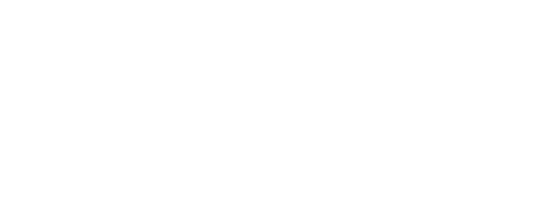 Birdi